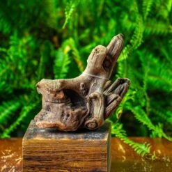 Driftwood For Moss Terrarium, Miniature, Micro Landscape,TS006