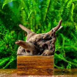 Driftwood For Moss Terrarium, Miniature, Micro Landscape,TS004