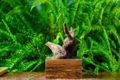 Driftwood For Moss Terrarium, Miniature, Micro Landscape,TS004 -Glass Plant Store IMG 9160 dd4b3d85 faeb 43d7 8de9 f38f67518047