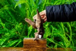 Driftwood For Moss Terrarium, Miniature, Micro Landscape,TS004 -Glass Plant Store IMG 9161 f48dd794 251c 40d6 9444 f6829648a7e6