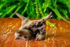 Driftwood For Moss Terrarium, Miniature, Micro Landscape,TS004 -Glass Plant Store IMG 9162