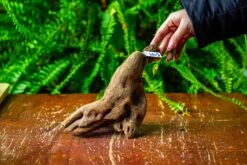 Driftwood For Moss Terrarium, Miniature, Micro Landscape,TS007 -Glass Plant Store IMG 9166 16bf20d4 552d 4667 86b7 92185ac6dcee