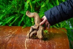 Driftwood For Moss Terrarium, Miniature, Micro Landscape,TS007 -Glass Plant Store IMG 9169 790eedb8 a217 4cf9 b546 e8a9499fc301