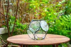 Propagation Station Glass Geometric Terrarium, 32 Face , Close, With Door, Truncated Dodecahedron -Glass Plant Store IMG 9394