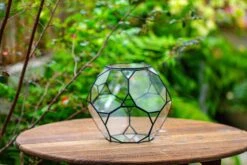 Propagation Station Glass Geometric Terrarium, 32 Face , Close, With Door, Truncated Dodecahedron -Glass Plant Store IMG 9396