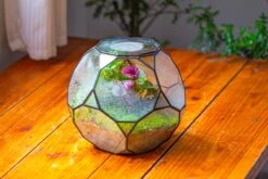Propagation Station Glass Geometric Terrarium, 32 Face , Close, With Door, Truncated Dodecahedron -Glass Plant Store IMG 9442