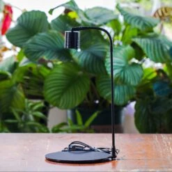 5W Warm White Black LED Grow Light Adjustable With Black Matte Stand, Or Terrarium, Moss, Shade Plants, Multi Size Available Customizable -34cm / 13.4
