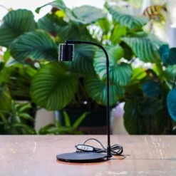 5W Warm White Black LED Grow Light Adjustable With Black Matte Stand, Or Terrarium, Moss, Shade Plants, Multi Size Available Customizable - 29cm / 11.4"