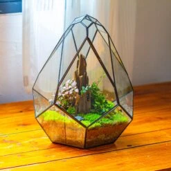 Propagation Station 13" Large Teardrop Geometric Terrarium, Close, With Door