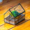 NCYP Mini Glass Terrarium With Lid House Shape Closed Planter Pot For Small Cactus, Succulents Plant