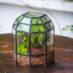 Half Dome Geometric Glass Terrarium, Close, Succulents Planter Pot Miniature Landscape Bonsai Container