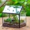 Handmade NCYP Geometric Glass Black Terrarium Box House Shape Close, Tabletop, Swing Lid For Air Plants Moss Snail Reptile Habitat