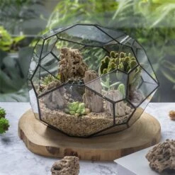 Natural Reed Tube Limestone Absorption For Landscaping Rockery Aquarium Bonsai Terrarium Succulents 10 Natural Reed Tube Limestone Absorption For Landscaping Rockery Aquarium Bonsai Terrarium Succulents -Glass Plant Store c180731569 4