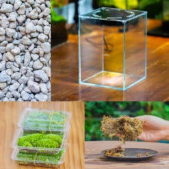 Watertight Glass Tank With LED Grow Light, Acrylic Lid, DIY Terrarium Kit-15x15x18cm / 5.9x5.9x7.1''