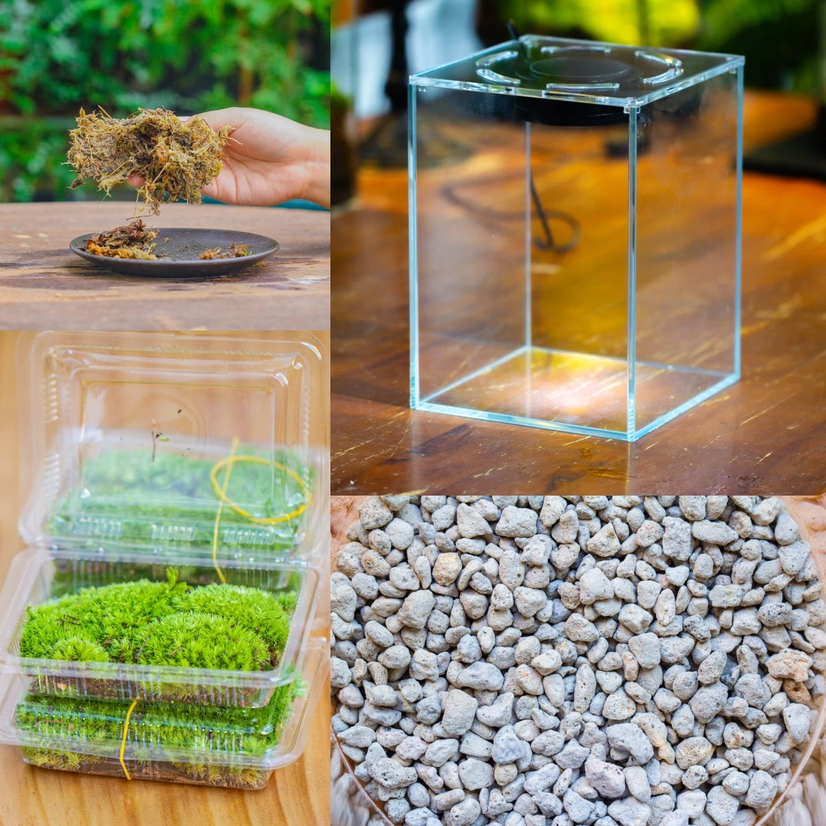 Watertight Glass Tank With LED Grow Light, Acrylic Lid, DIY Terrarium Kit-20x20x20cm / 7.8x7.8x7.8'' 1 Watertight Glass Tank With LED Grow Light, Acrylic Lid, DIY Terrarium Kit-20x20x20cm / 7.8x7.8x7.8''