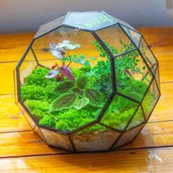 Propagation Station Glass Geometric Moon Terrarium, Close, With Door