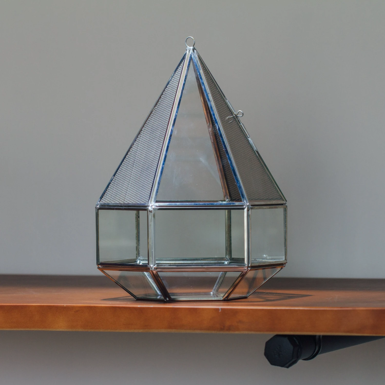 NCYP Hanging Six-surface Diamond Glass Geometric Terrarium, Stainless Steel, Silver, With Mesh For Insect Pet 1 NCYP Hanging Six-surface Diamond Glass Geometric Terrarium, Stainless Steel, Silver, With Mesh For Insect Pet