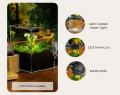 Watertight Glass Terrarium With LED Grow Light, Acrylic Lid For Carnivorous Plants-25x25x30cm / 9.8x9.8x11.8'' 37 Watertight Glass Terrarium With LED Grow Light, Acrylic Lid For Carnivorous Plants-25x25x30cm / 9.8x9.8x11.8'' -Glass Plant Store il 794xN.6202648474 6ta6