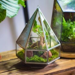 NCYP Hanging Six-surface Diamond Glass Geometric Terrarium, Stainless Steel, Silver, With Mesh For Insect Pet 14 NCYP Hanging Six-surface Diamond Glass Geometric Terrarium, Stainless Steel, Silver, With Mesh For Insect Pet -Glass Plant Store il fullxfull.3808289156 b0ev