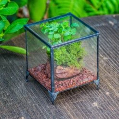 NCYP Vintage Feet Cube Close Geometric Glass Terrarium With Door, Tin Sealed Cube 4.3 / 5.9 Inches Planter Succulent Cacti Fern Flower Pot