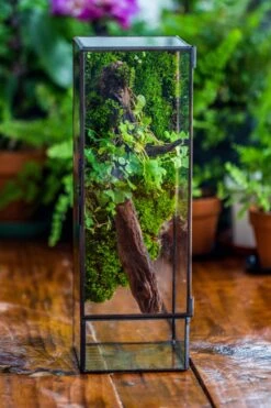 NCYP Close 11.8" Tall Geometric Glass Terrarium With Door, Tin Sealed Pillar, Planter For Moss Wall, Fern, Pitcher Plants, Tropical Plants -Glass Plant Store il fullxfull.4429467918 5j5k