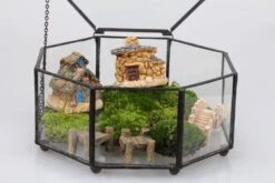 Handmade Flat Octagon Glass Geometric Terrarium For Succulents Fern Moss -Glass Plant Store product image 293922302