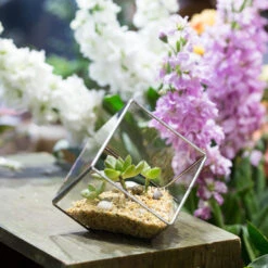 Handmade 3.93" / 10cm Silver Square Inclined Open Cube Glass Geometric Terrarium Box For Succulents