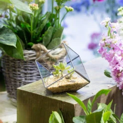 Handmade 3.93" / 10cm Silver Square Inclined Open Cube Glass Geometric Terrarium Box For Succulents -Glass Plant Store product image 330636304