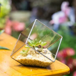 Handmade 3.93" / 10cm Silver Square Inclined Open Cube Glass Geometric Terrarium Box For Succulents -Glass Plant Store product image 330636307