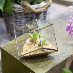 Handmade 3.93" / 10cm Silver Square Inclined Open Cube Glass Geometric Terrarium Box For Succulents -Glass Plant Store product image 330636319