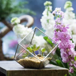 Handmade 3.93" / 10cm Silver Square Inclined Open Cube Glass Geometric Terrarium Box For Succulents -Glass Plant Store product image 330636320
