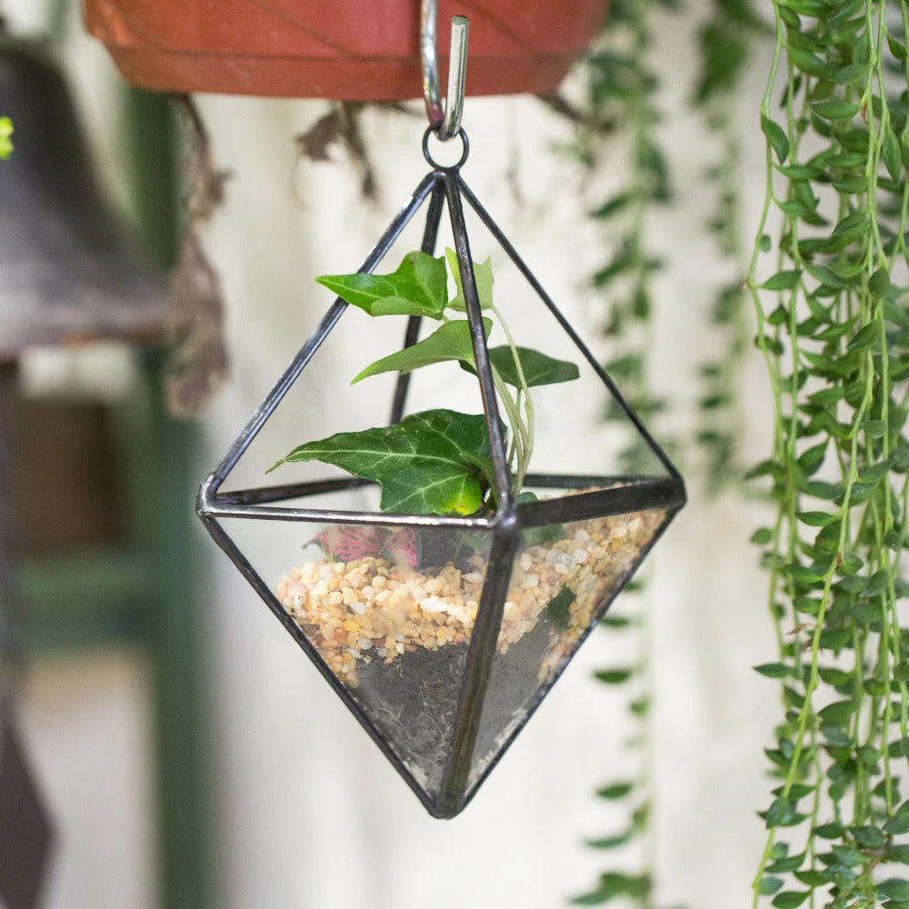 Handmade Small Hanging Geometric Glass Terrarium For Succulent Air Plant 6 Handmade Small Hanging Geometric Glass Terrarium For Succulent Air Plant - Image 6