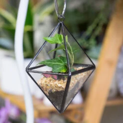Handmade Small Hanging Geometric Glass Terrarium For Succulent Air Plant 8 Handmade Small Hanging Geometric Glass Terrarium For Succulent Air Plant -Glass Plant Store product image 380708239