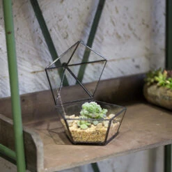 Handmade Small Modern Clear Jewelry BoxGlass Geometric Terrarium For Wedding Planters Succulents 19 Handmade Small Modern Clear Jewelry BoxGlass Geometric Terrarium For Wedding Planters Succulents -Glass Plant Store product image 385370588