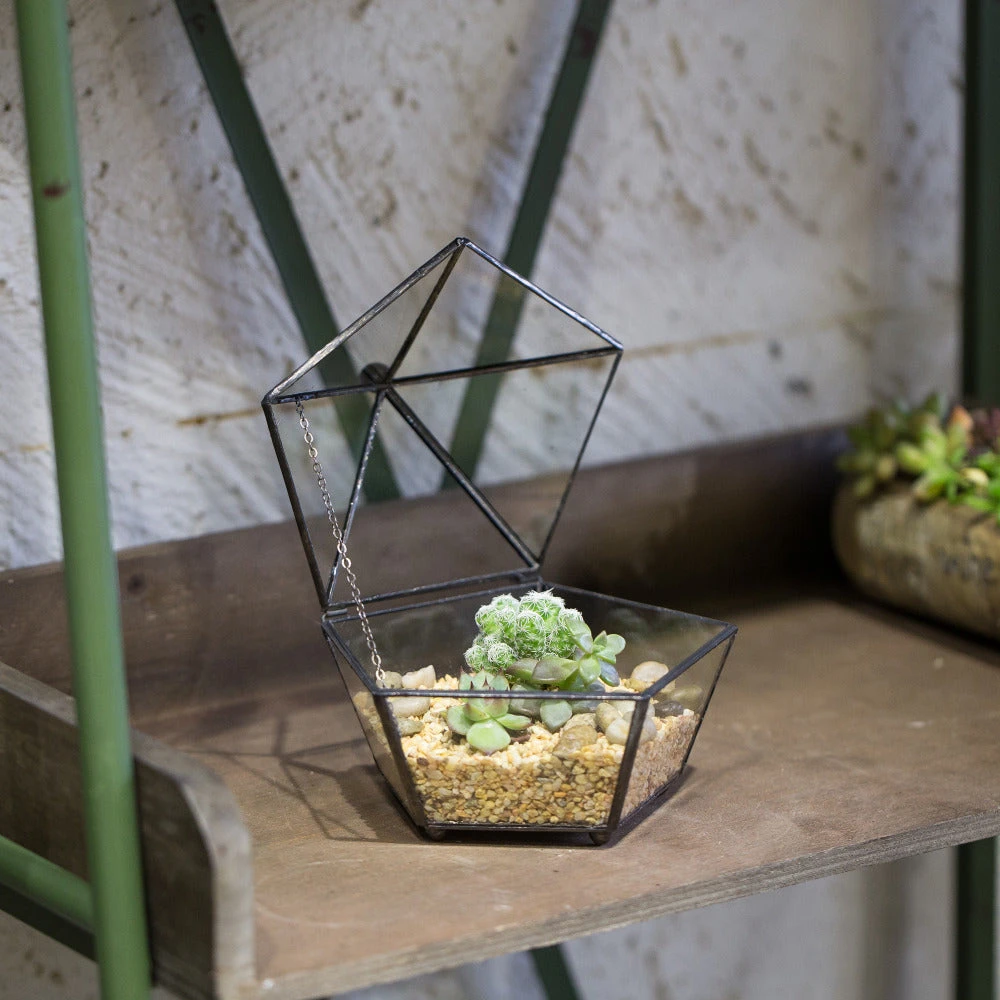 Handmade Small Modern Clear Jewelry BoxGlass Geometric Terrarium For Wedding Planters Succulents 3 Handmade Small Modern Clear Jewelry BoxGlass Geometric Terrarium For Wedding Planters Succulents - Image 3
