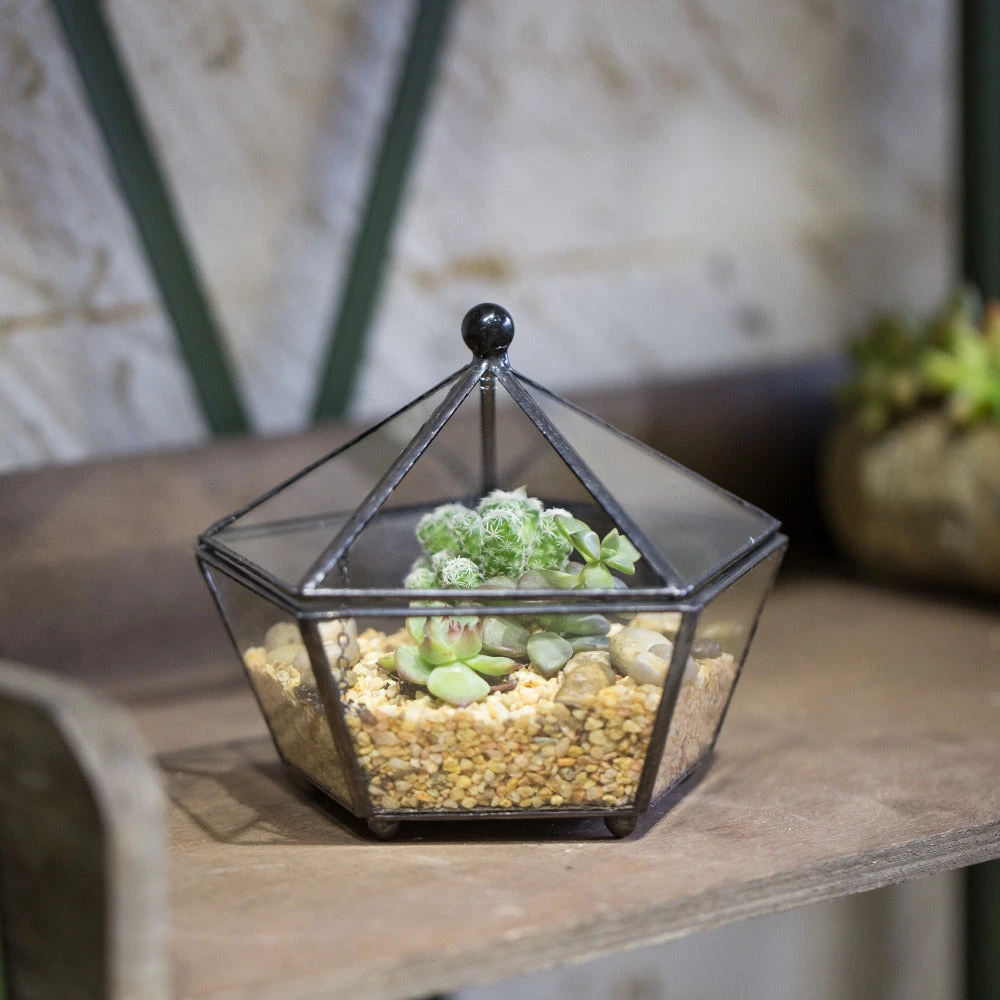 Handmade Small Modern Clear Jewelry BoxGlass Geometric Terrarium For Wedding Planters Succulents 4 Handmade Small Modern Clear Jewelry BoxGlass Geometric Terrarium For Wedding Planters Succulents - Image 4