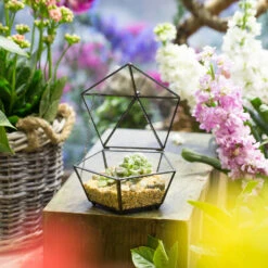 Handmade Small Modern Clear Jewelry BoxGlass Geometric Terrarium For Wedding Planters Succulents 22 Handmade Small Modern Clear Jewelry BoxGlass Geometric Terrarium For Wedding Planters Succulents -Glass Plant Store product image 385370592
