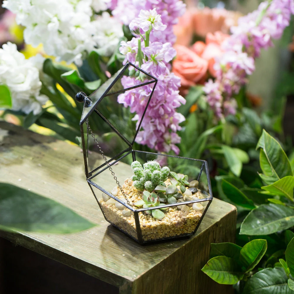 Handmade Small Modern Clear Jewelry BoxGlass Geometric Terrarium For Wedding Planters Succulents 7 Handmade Small Modern Clear Jewelry BoxGlass Geometric Terrarium For Wedding Planters Succulents - Image 7