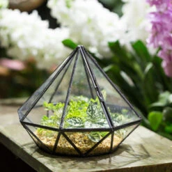Handmade Diamond Black Glass Geometric Terrarium With Door For Succulents Moss Airplants 16 Handmade Diamond Black Glass Geometric Terrarium With Door For Succulents Moss Airplants -Glass Plant Store product image 389524662