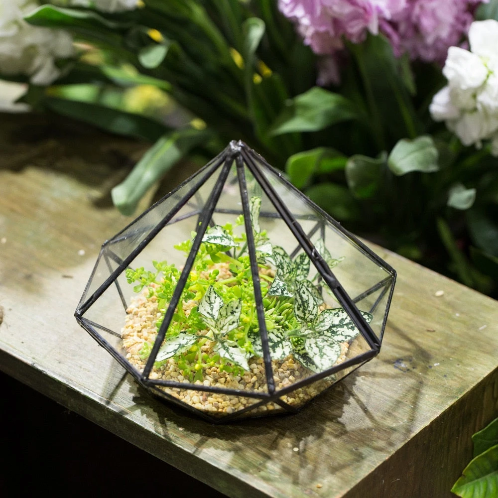 Handmade Diamond Black Glass Geometric Terrarium With Door For Succulents Moss Airplants 4 Handmade Diamond Black Glass Geometric Terrarium With Door For Succulents Moss Airplants - Image 4
