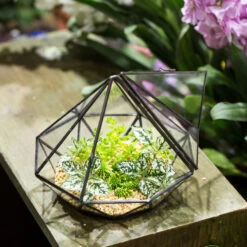 Handmade Diamond Black Glass Geometric Terrarium With Door For Succulents Moss Airplants 18 Handmade Diamond Black Glass Geometric Terrarium With Door For Succulents Moss Airplants -Glass Plant Store product image 389524677