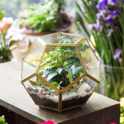 Handmade Copper Pentagon Glass Geometric Terrarium With Feet And Door For Succulent Moss Air Plant 13 Handmade Copper Pentagon Glass Geometric Terrarium With Feet And Door For Succulent Moss Air Plant -Glass Plant Store product image 443095110