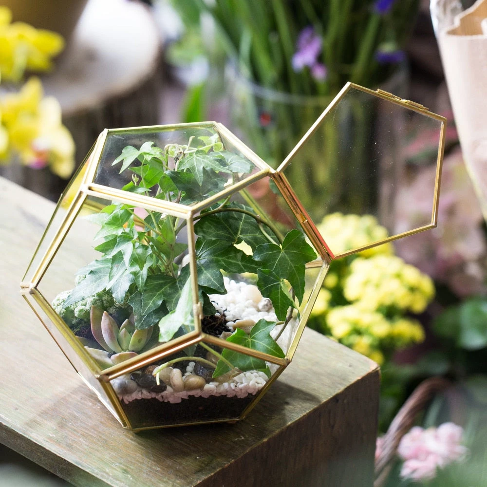 Handmade Copper Pentagon Glass Geometric Terrarium With Feet And Door For Succulent Moss Air Plant 6 Handmade Copper Pentagon Glass Geometric Terrarium With Feet And Door For Succulent Moss Air Plant - Image 6