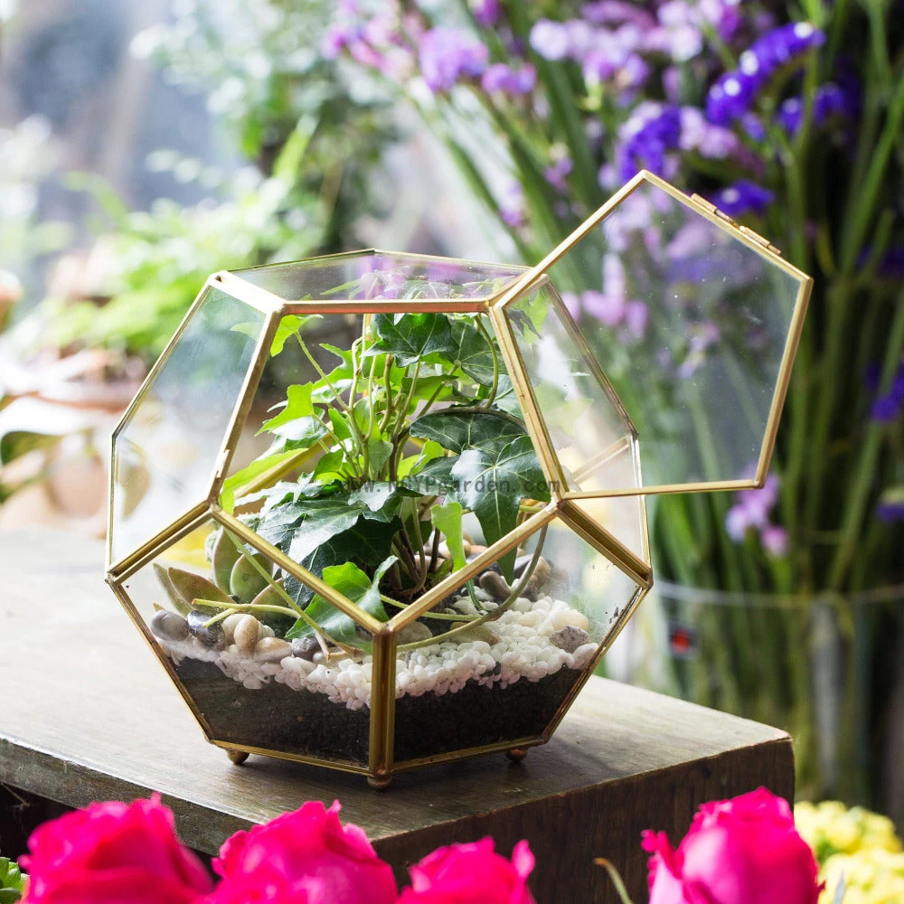 Handmade Copper Pentagon Glass Geometric Terrarium With Feet And Door For Succulent Moss Air Plant 8 Handmade Copper Pentagon Glass Geometric Terrarium With Feet And Door For Succulent Moss Air Plant - Image 8