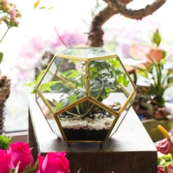 Handmade Copper Pentagon Glass Geometric Terrarium With Feet And Door For Succulent Moss Air Plant 14 Handmade Copper Pentagon Glass Geometric Terrarium With Feet And Door For Succulent Moss Air Plant -Glass Plant Store product image 443095152