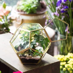 Handmade Copper Pentagon Glass Geometric Terrarium With Feet And Door For Succulent Moss Air Plant 17 Handmade Copper Pentagon Glass Geometric Terrarium With Feet And Door For Succulent Moss Air Plant -Glass Plant Store product image 443095158