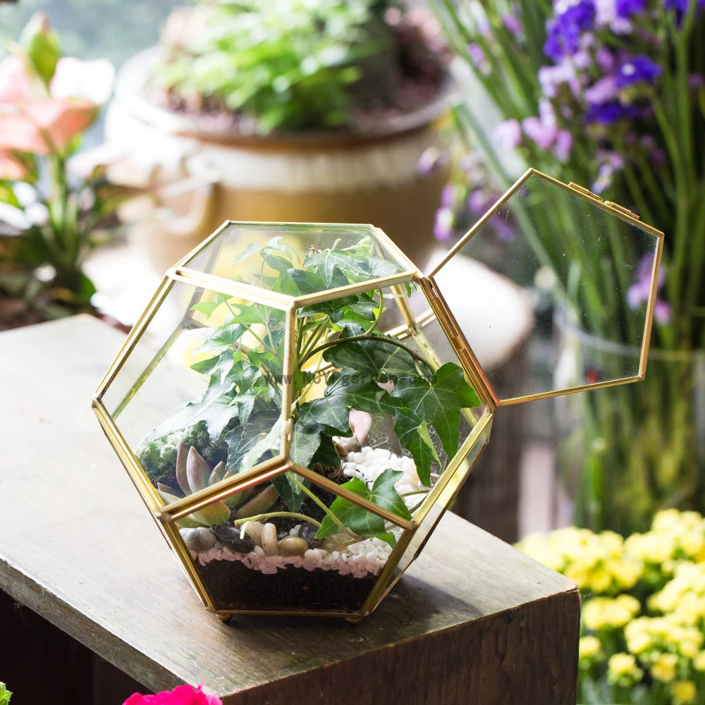 Handmade Copper Pentagon Glass Geometric Terrarium With Feet And Door For Succulent Moss Air Plant 7 Handmade Copper Pentagon Glass Geometric Terrarium With Feet And Door For Succulent Moss Air Plant - Image 7