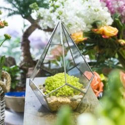 Handmade Silver Hanging Teardrop Shape Geometric Glass Terrarium For Succulent Moss Fern 11 Handmade Silver Hanging Teardrop Shape Geometric Glass Terrarium For Succulent Moss Fern -Glass Plant Store product image 449459844
