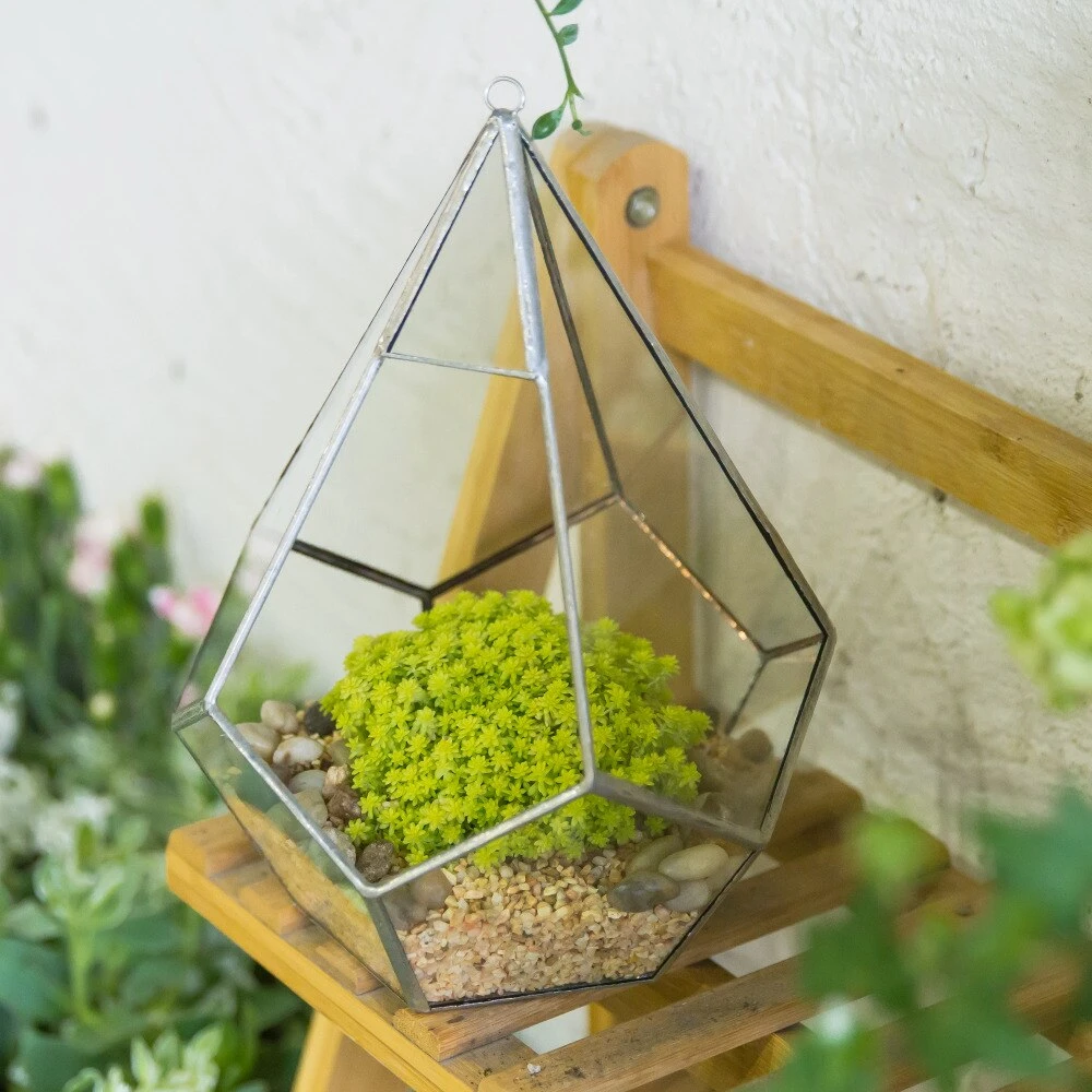 Handmade Silver Hanging Teardrop Shape Geometric Glass Terrarium For Succulent Moss Fern 8 Handmade Silver Hanging Teardrop Shape Geometric Glass Terrarium For Succulent Moss Fern - Image 8