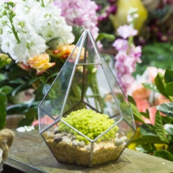 Handmade Silver Hanging Teardrop Shape Geometric Glass Terrarium For Succulent Moss Fern 14 Handmade Silver Hanging Teardrop Shape Geometric Glass Terrarium For Succulent Moss Fern -Glass Plant Store product image 449459856